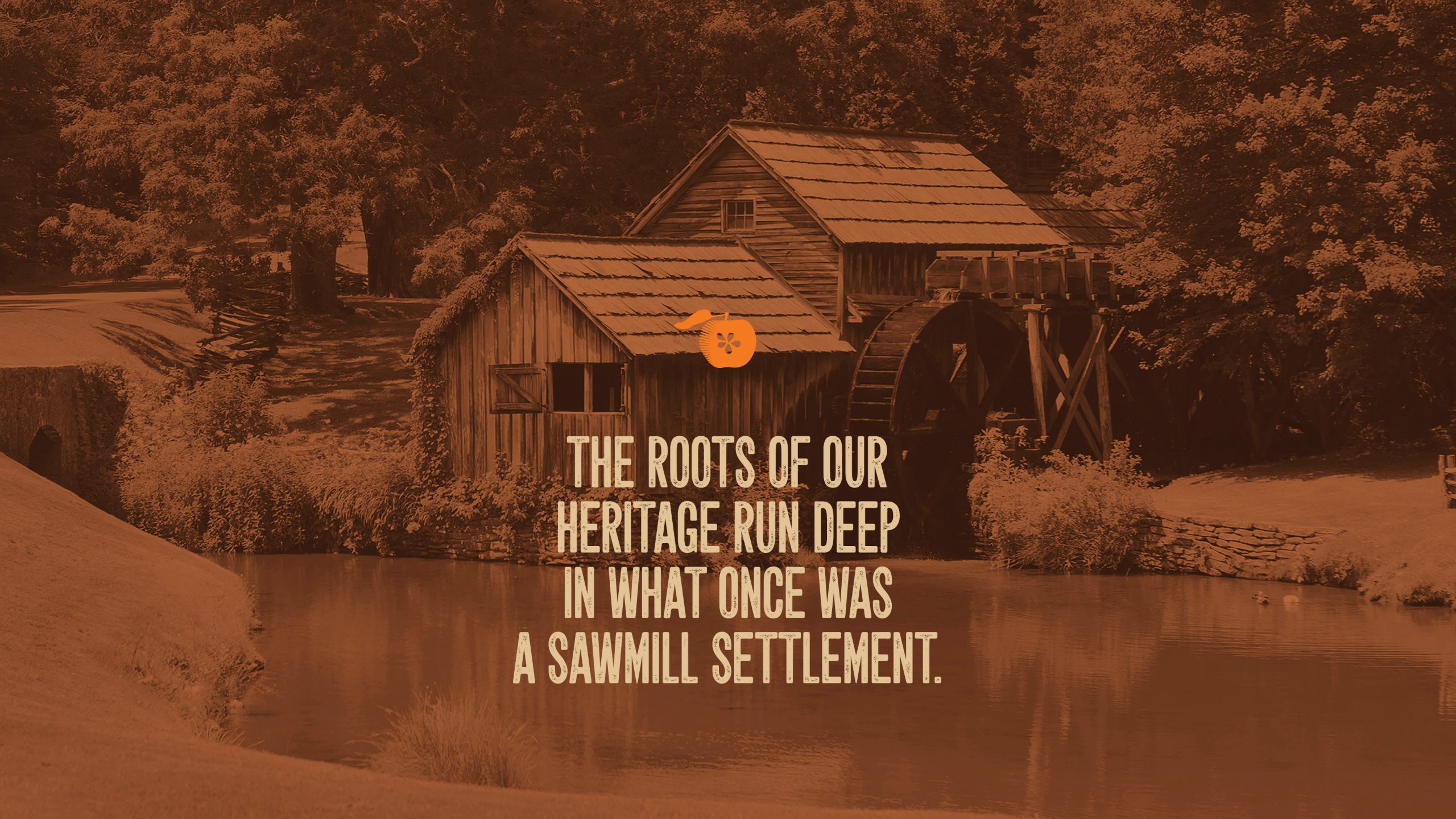 We SHAPE brands & give them COLOUR